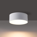 BRILAGI - LED utomhustaklampa FORIS LED/9W/230V Ø 9 cm vit IP44
