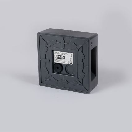 Brilagi - LED utomhusvägglampa DOUBLERAY LED/6W/230V antracit IP54