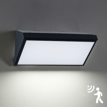 Brilagi - LED utomhusvägglampa med sensor TRIANGLE LED/20W/230V svart IP65