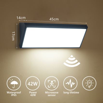 Brilagi - TRIANGLE LED utomhusvägglampa med sensor, 42W/230V, 45 cm, svart, IP65