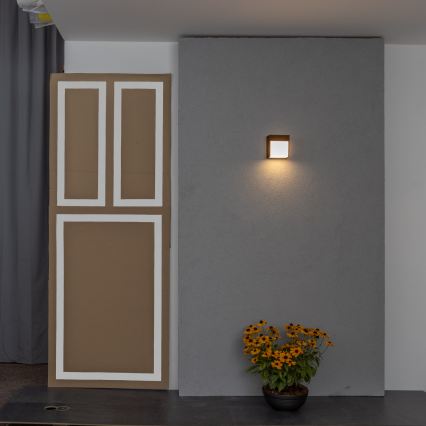 BRILAGI - LED väggarmatur för utomhusbruk TERNI LED/12W/230V, brun, IP44