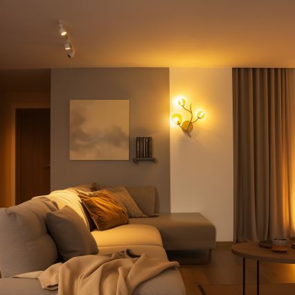 Brilagi - LED väggbelysning MISTEL 3xG9/3W/230V guld