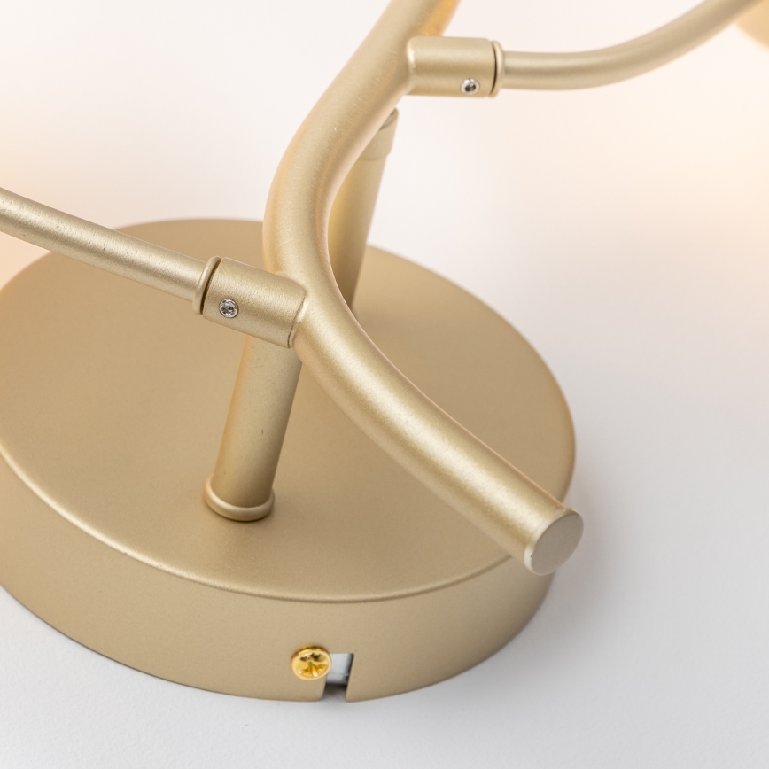 Brilagi - LED väggbelysning MISTEL 3xG9/3W/230V guld