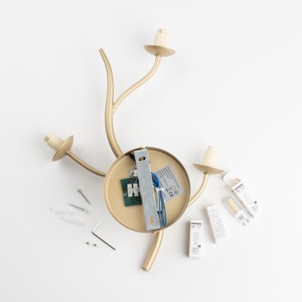 Brilagi - LED väggbelysning MISTEL 3xG9/3W/230V guld