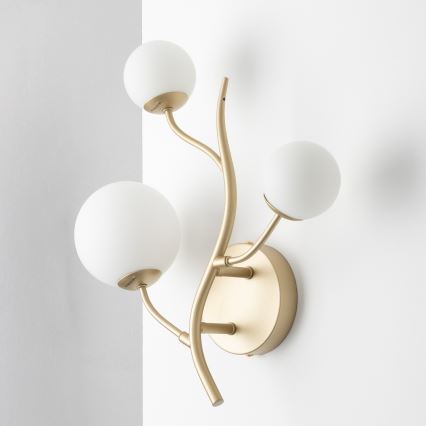 Brilagi - LED väggbelysning MISTEL 3xG9/3W/230V guld/vit