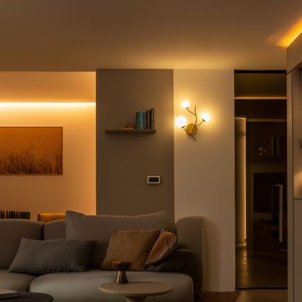 Brilagi - LED väggbelysning MISTEL 3xG9/3W/230V guld/vit