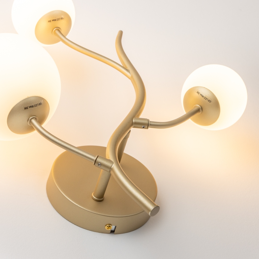 Brilagi - LED väggbelysning MISTEL 3xG9/3W/230V guld/vit