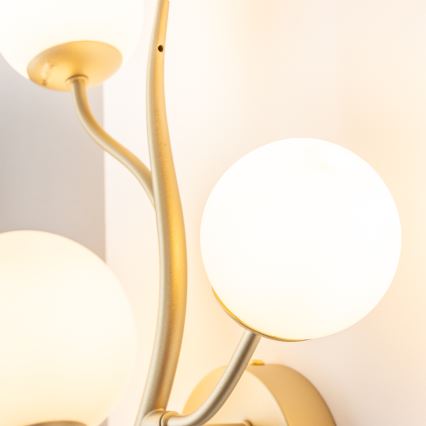 Brilagi - LED väggbelysning MISTEL 3xG9/3W/230V guld/vit