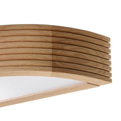 Brilagi - LED vägglampa CARVALHO MODERN 1xE27/60W/230V ek