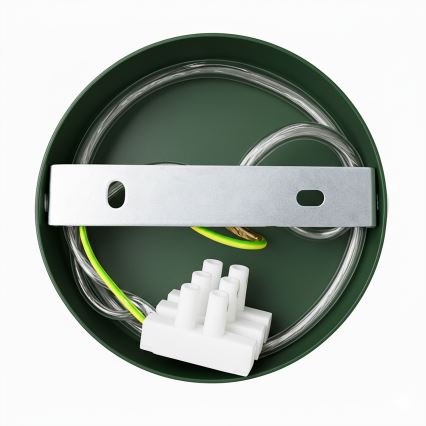 Brilagi - LED Vägglampa FLAMENGO 1xE27/60W/230V grön