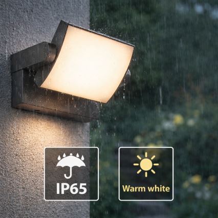 Brilagi - LED vägglampa för utomhusbruk ANKLE LED/18W/230V 3000K IP65 antracit