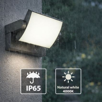 Brilagi - LED vägglampa för utomhusbruk ANKLE LED/18W/230V 4000K IP65 antracit