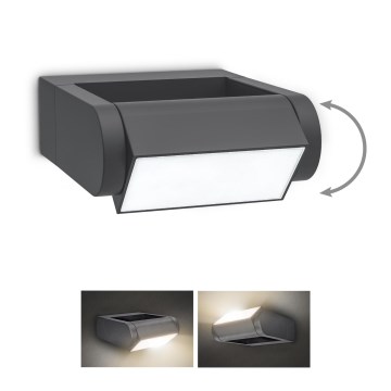 Brilagi - LED vägglampa för utomhusbruk CROTONE LED/7W/230V antracit IP54