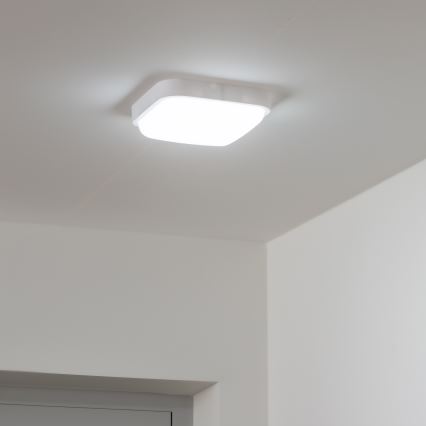 Brilagi - LED vägglampa för utomhusbruk LED/20W/230V IP54