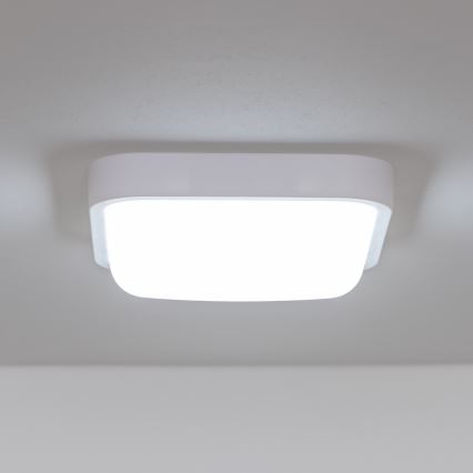 Brilagi - LED vägglampa för utomhusbruk LED/20W/230V IP54