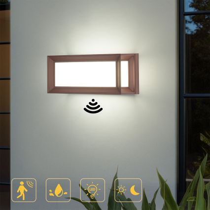 Brilagi - LED utomhusvägglampa med rörelsesensor PARKER LED/12W/230V brun IP44