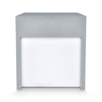 Brilagi - LED vägglampa för utomhusbruk TERNI LED/12W/230V grå IP44