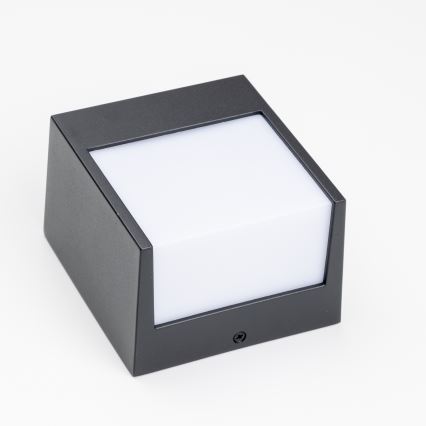 Brilagi - LED vägglampa för utomhusbruk TERNI LED/12W/230V svart IP44