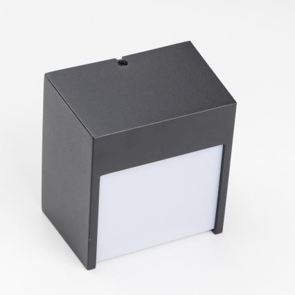 Brilagi - LED vägglampa för utomhusbruk TERNI LED/12W/230V svart IP44