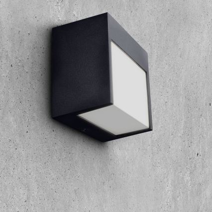 Brilagi - LED vägglampa för utomhusbruk TERNI LED/12W/230V svart IP44