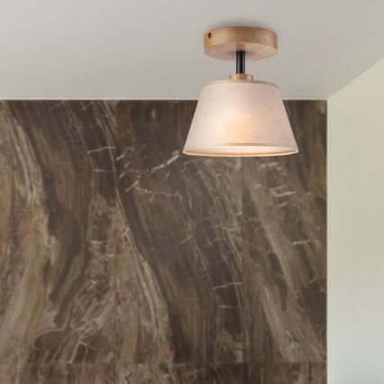 Brilagi - LED  Ytmonterad ljuskrona ANTHONY 1xE14/60W/230V ek/beige