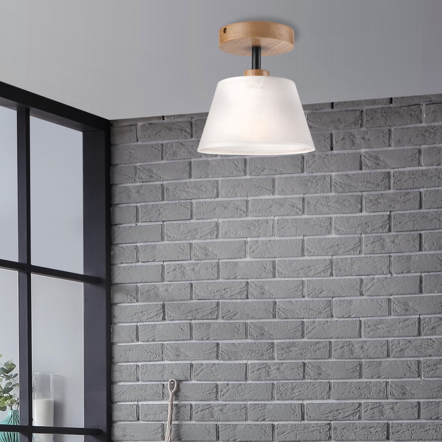 Brilagi - LED  Ytmonterad ljuskrona ANTHONY 1xE14/60W/230V ek/vit