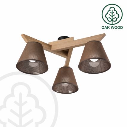 Brilagi - LED  Ytmonterad ljuskrona ANTHONY 3xE14/40W/230V ek/brun