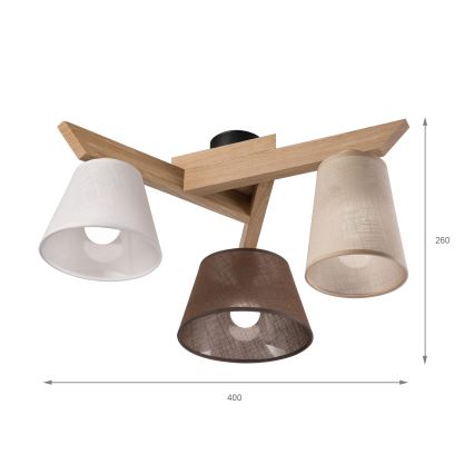 Brilagi - LED  Ytmonterad ljuskrona ANTHONY 3xE14/40W/230V ek