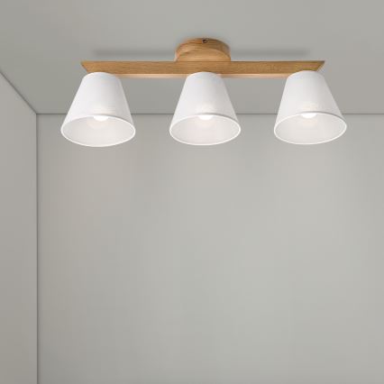 Brilagi - LED  Ytmonterad ljuskrona ANTHONY 3xE14/40W/230V ek/vit