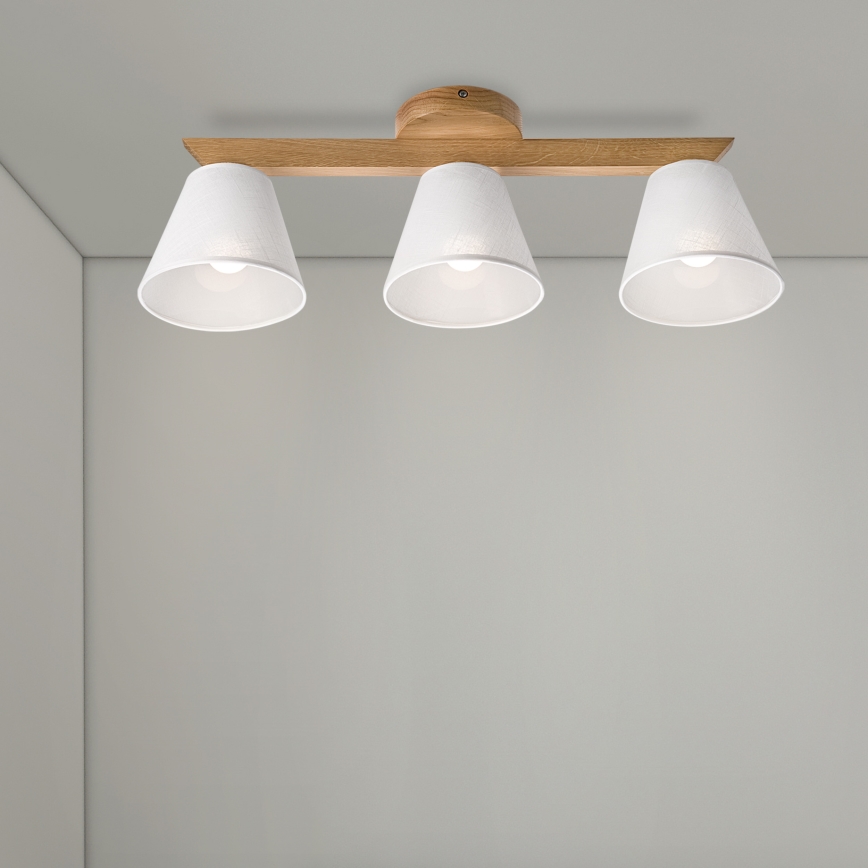 Brilagi - LED  Ytmonterad ljuskrona ANTHONY 3xE14/40W/230V ek/vit