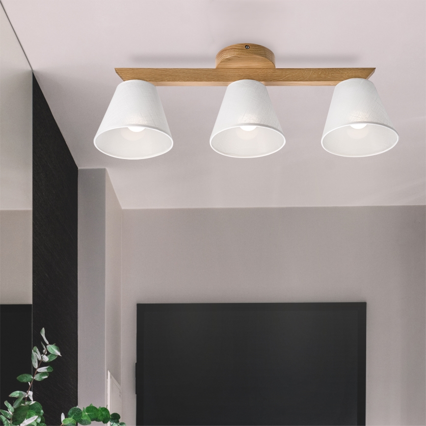 Brilagi - LED  Ytmonterad ljuskrona ANTHONY 3xE14/40W/230V ek/vit