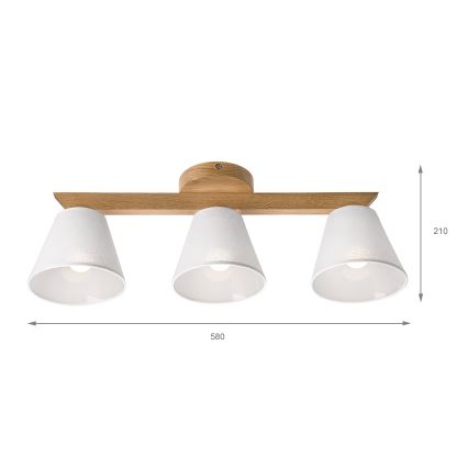 Brilagi - LED  Ytmonterad ljuskrona ANTHONY 3xE14/40W/230V ek/vit