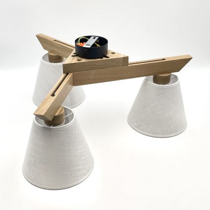 Brilagi - LED  Ytmonterad ljuskrona ANTHONY 3xE14/40W/230V ek/vit