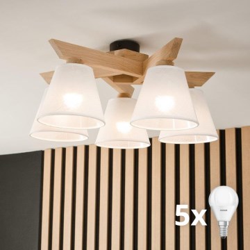 Brilagi - LED  Ytmonterad ljuskrona ANTHONY 5xE14/40W/230V ek/vit