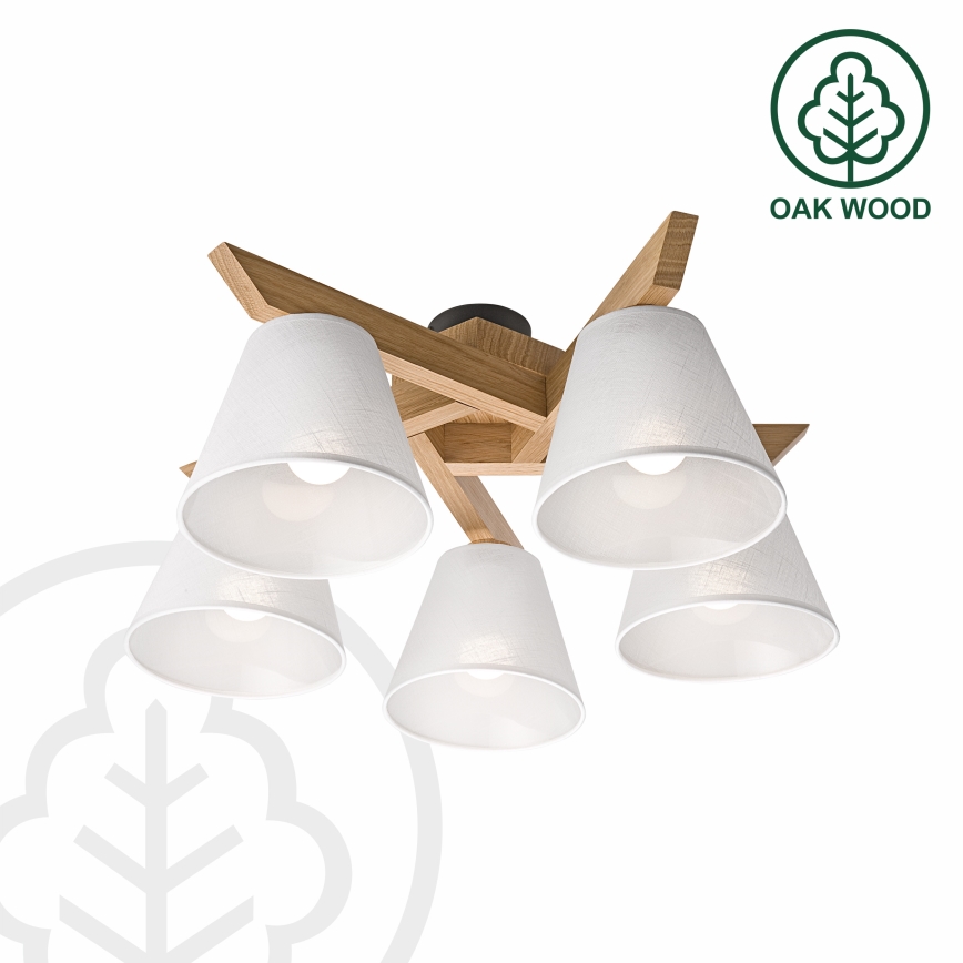 Brilagi - LED  Ytmonterad ljuskrona ANTHONY 5xE14/40W/230V ek/vit