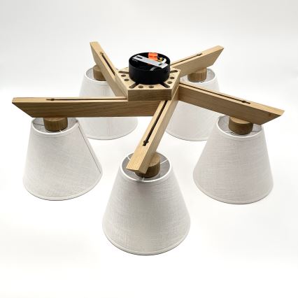 Brilagi - LED  Ytmonterad ljuskrona ANTHONY 5xE14/40W/230V ek/vit