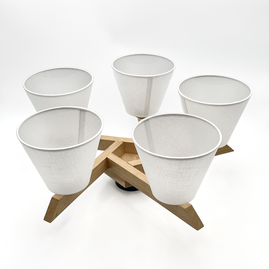 Brilagi - LED  Ytmonterad ljuskrona ANTHONY 5xE14/40W/230V ek/vit