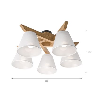 Brilagi - LED  Ytmonterad ljuskrona ANTHONY 5xE14/40W/230V ek/vit