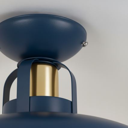 Brilagi - LED Ytmonterad ljuskrona FLAMENGO 1xE27/60W/230V blå