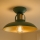 Brilagi - LED Ytmonterad ljuskrona FLAMENGO 1xE27/60W/230V grön