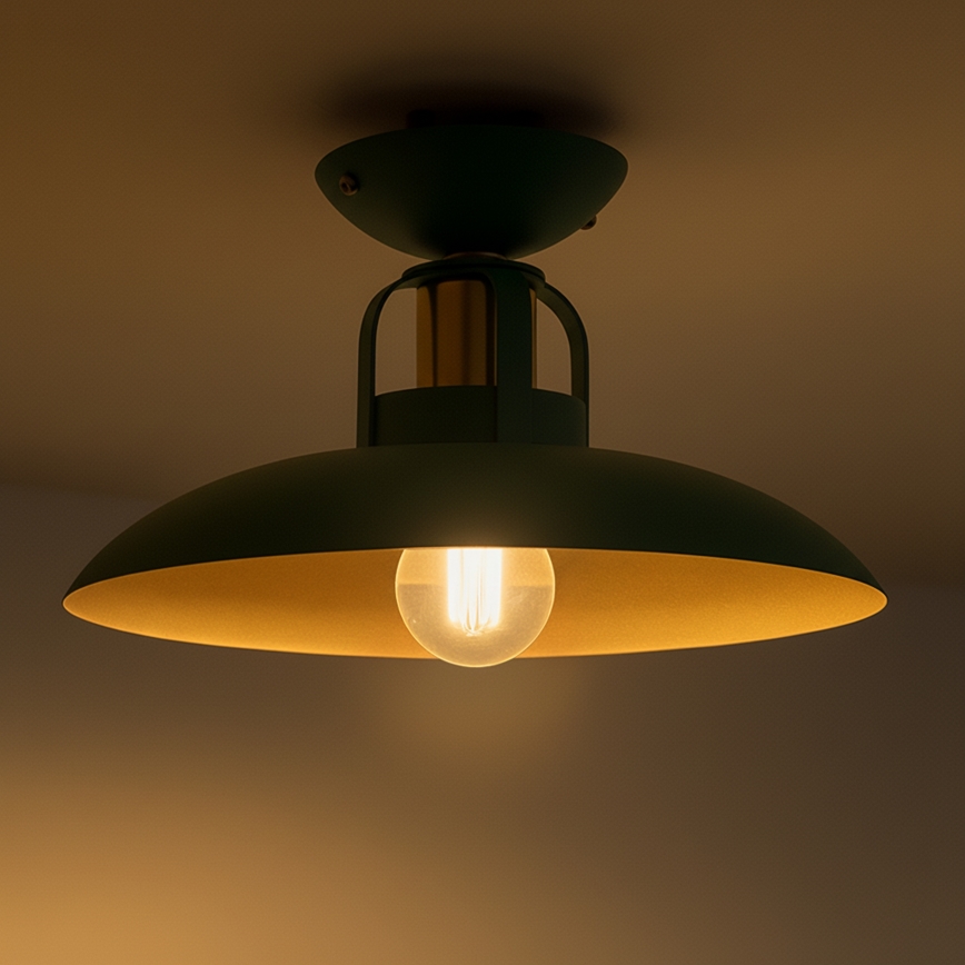 Brilagi - LED Ytmonterad ljuskrona FLAMENGO 1xE27/60W/230V grön
