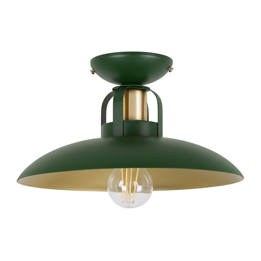 Brilagi - LED Ytmonterad ljuskrona FLAMENGO 1xE27/60W/230V grön