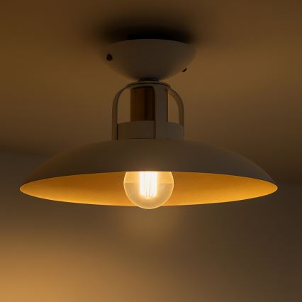 Brilagi - LED Ytmonterad ljuskrona FLAMENGO 1xE27/60W/230V vit