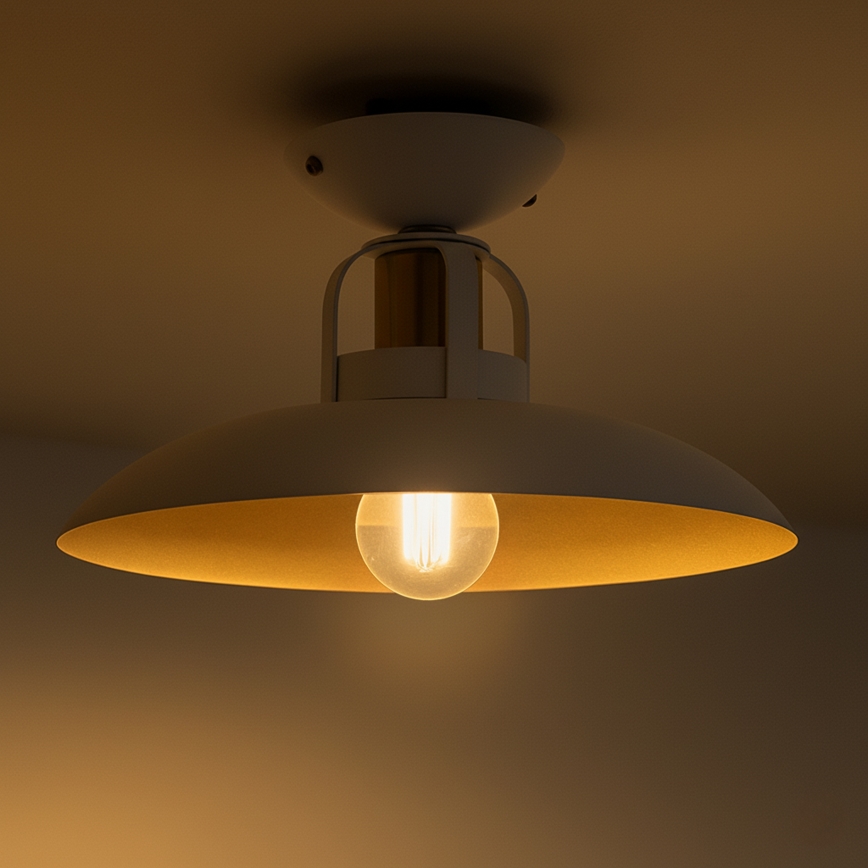 Brilagi - LED Ytmonterad ljuskrona FLAMENGO 1xE27/60W/230V vit