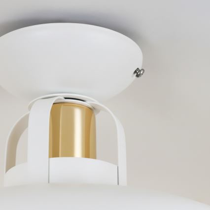 Brilagi - LED Ytmonterad ljuskrona FLAMENGO 1xE27/60W/230V vit