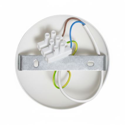 Brilagi - LED Ytmonterad ljuskrona FLAMENGO 1xE27/60W/230V vit