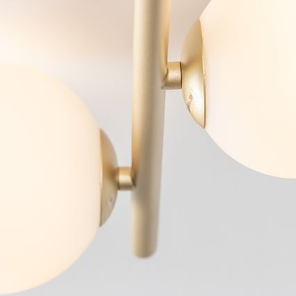 Brilagi - LED ytmonterad ljuskrona MILLA 4xG9/3W/230V guld/vit