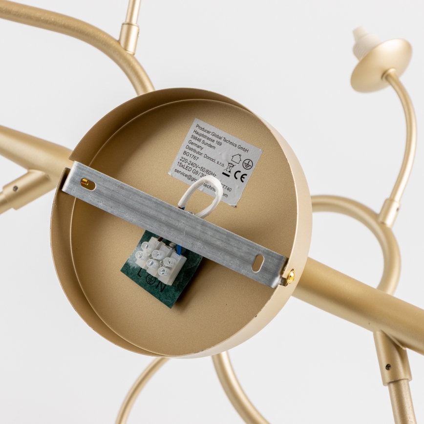 Brilagi - LED ytmonterad ljuskrona MISTEL 15xG9/3W/230V guld