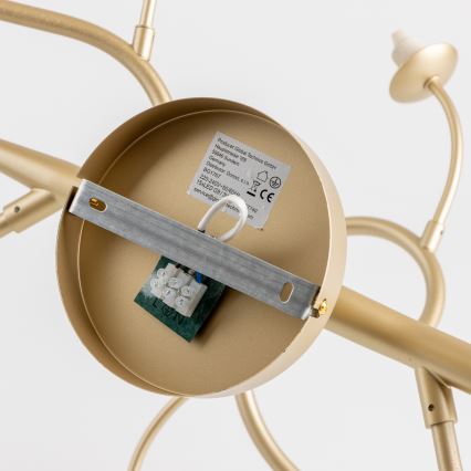 Brilagi - LED ytmonterad ljuskrona MISTEL 15xG9/3W/230V guld/vit