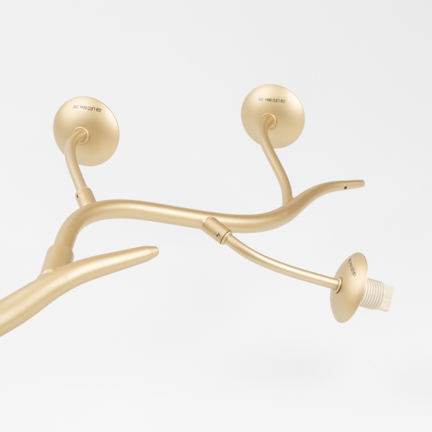 Brilagi - LED ytmonterad ljuskrona MISTEL 6xG9/3W/230V guld